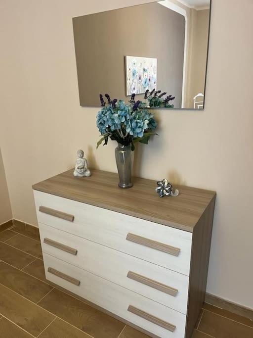 Attico Briccarello -intero Appartamento- Elegant With Free Wifi Near Inalpi Arena And Sporting Club Torino-olimpyc Stadium Appartement *